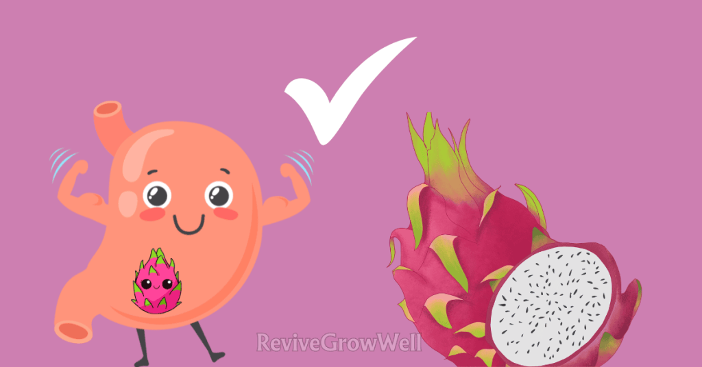 dragon-fruit-is-good-for-digestive-health