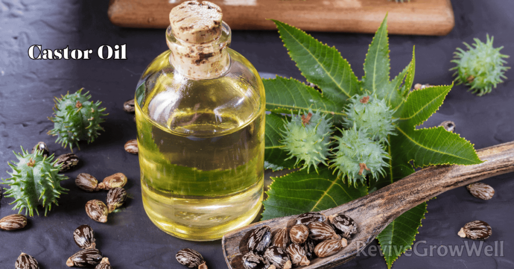 What is castor oil
