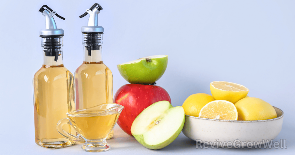 Apple-Cider-Vinegar-Detox-Drink-recipe
