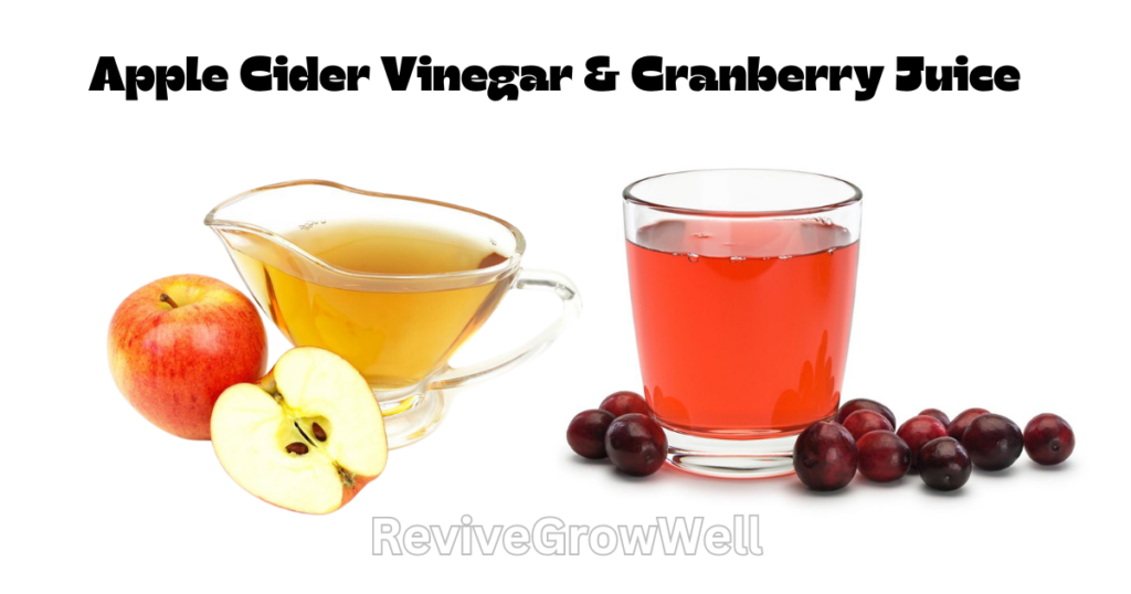 apple cider vinegar and cranberry juice