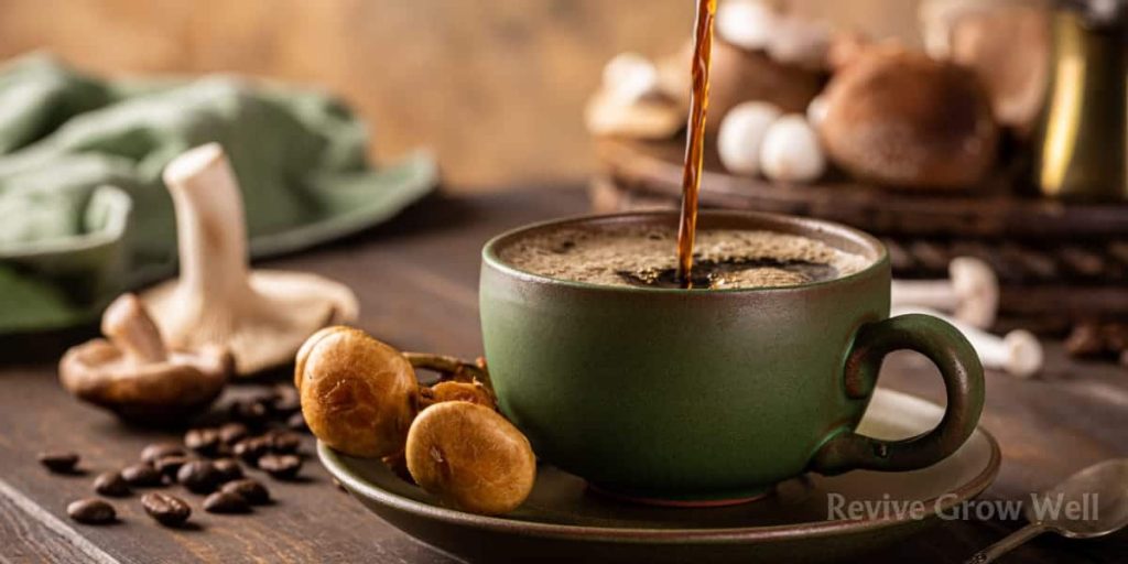 is-ryze-mushroom-coffee-legit