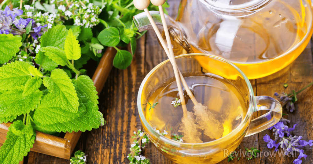 spearmint-tea
