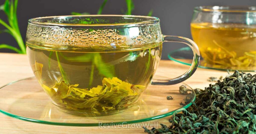 moringa tea