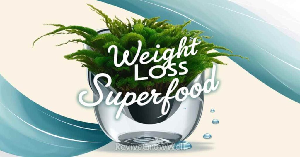 sea moss gel super weight loss food